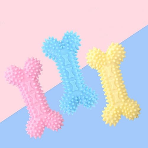 pet-accessories-shop-xtreme